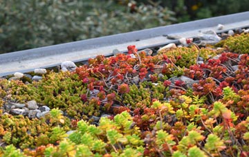 the cost of Dunvegan green roof installation