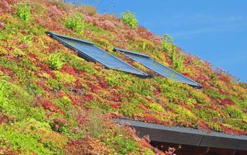Dunvegan living roof systems